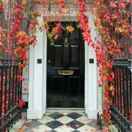 "Addison Loop" Door Knocker  "Addison Loop" Door Knocker