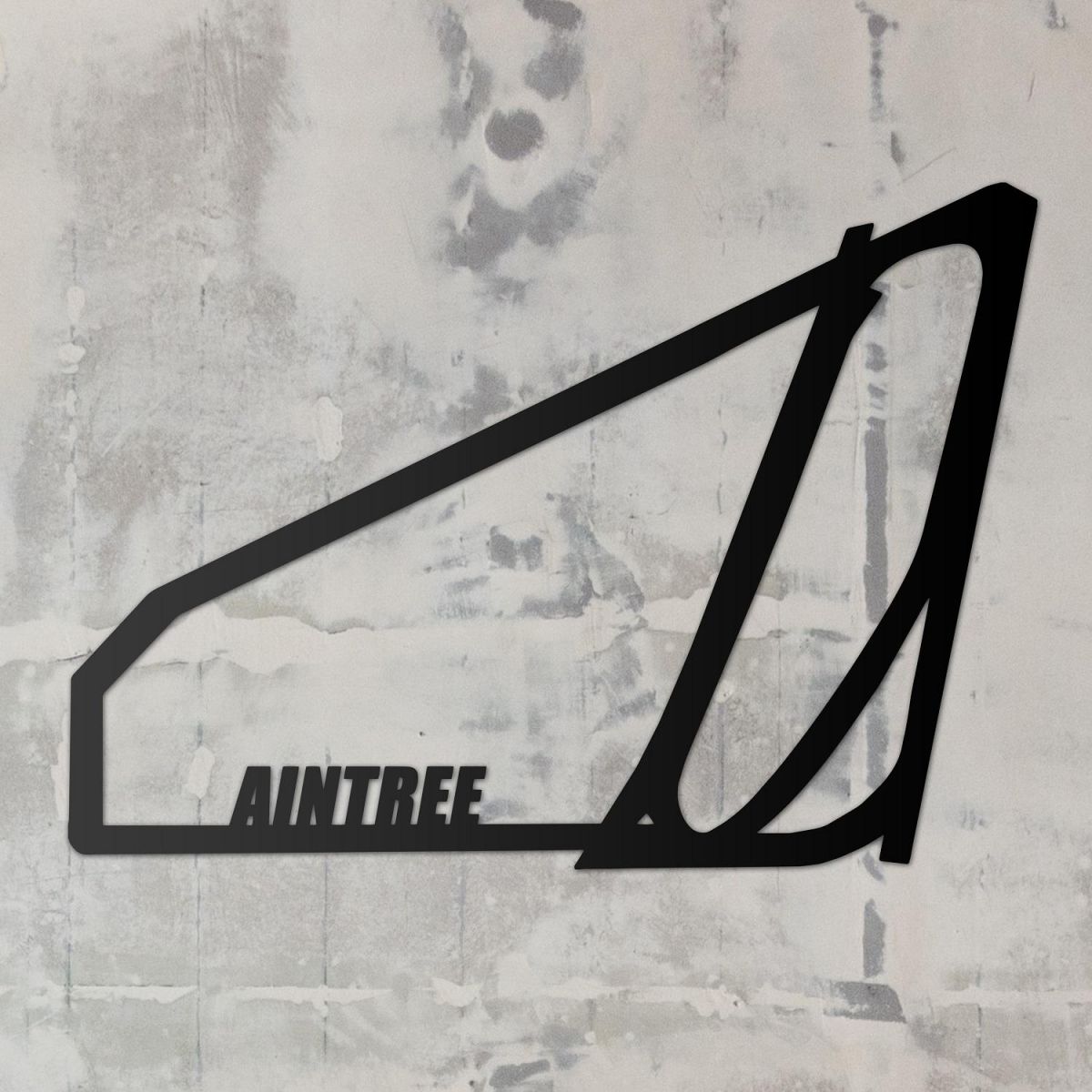 Aintree Racecourse in Situ 