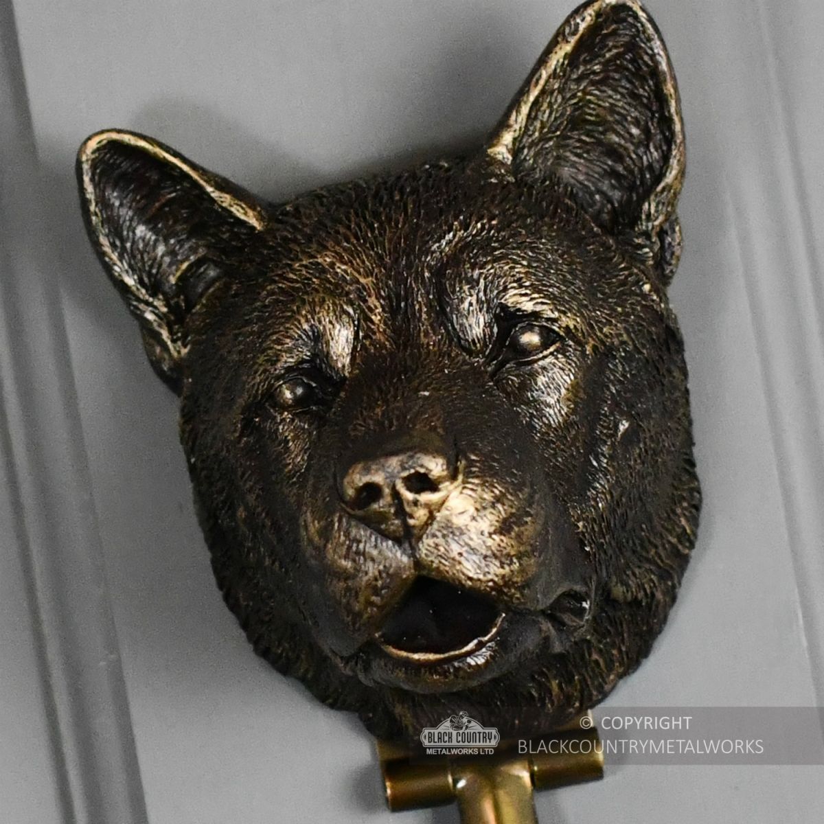 Close-up of the Akita"s Face