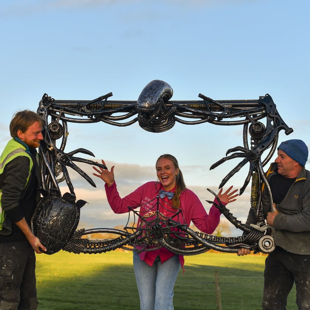 Scale image of alien frame Scale image of alien frame