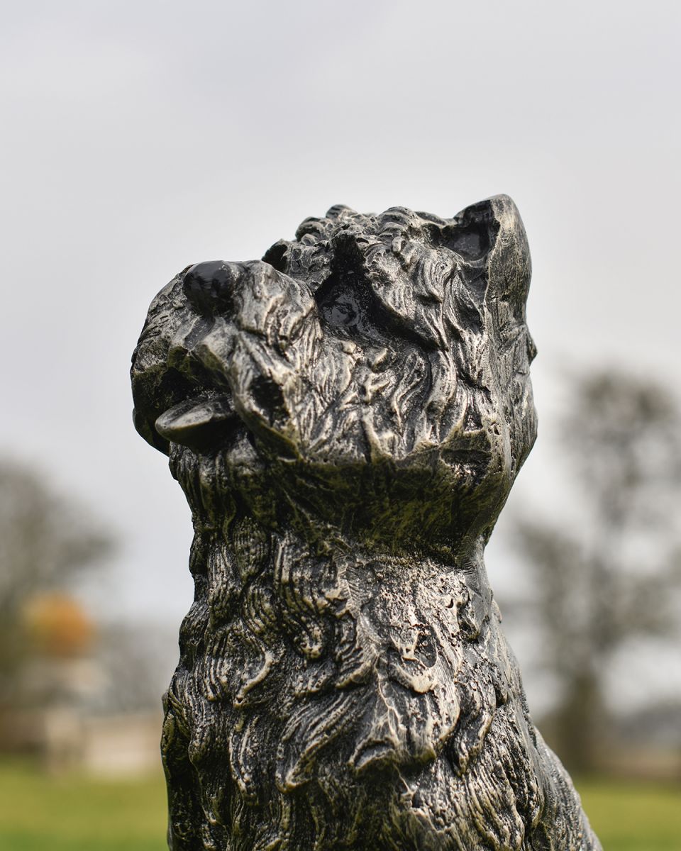 Close-up of the Face of the Yorkshire Terrier Dog Sculpture