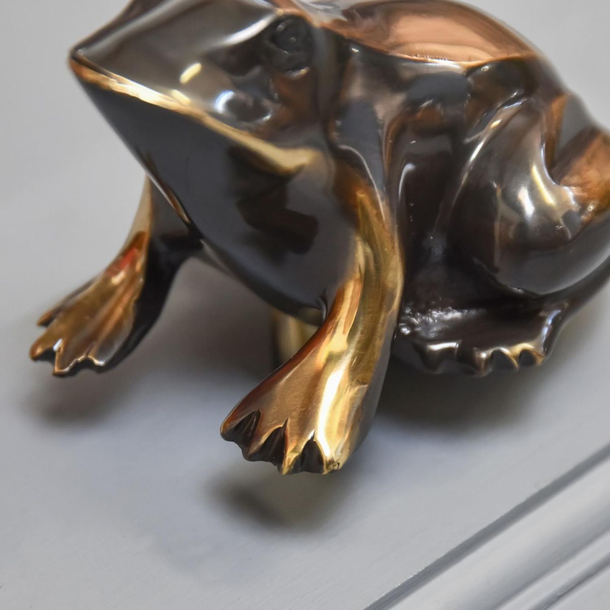 Close-Up of Antique Brass Finish on Door Knocker