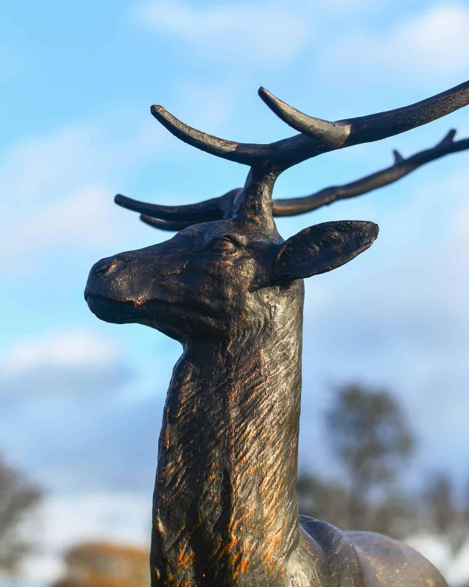 Close-Up of Antique Bronze "General" Sitting Stag Garden Sculpture Close-Up of Antique Bronze "General" Sitting Stag Garden Sculpture