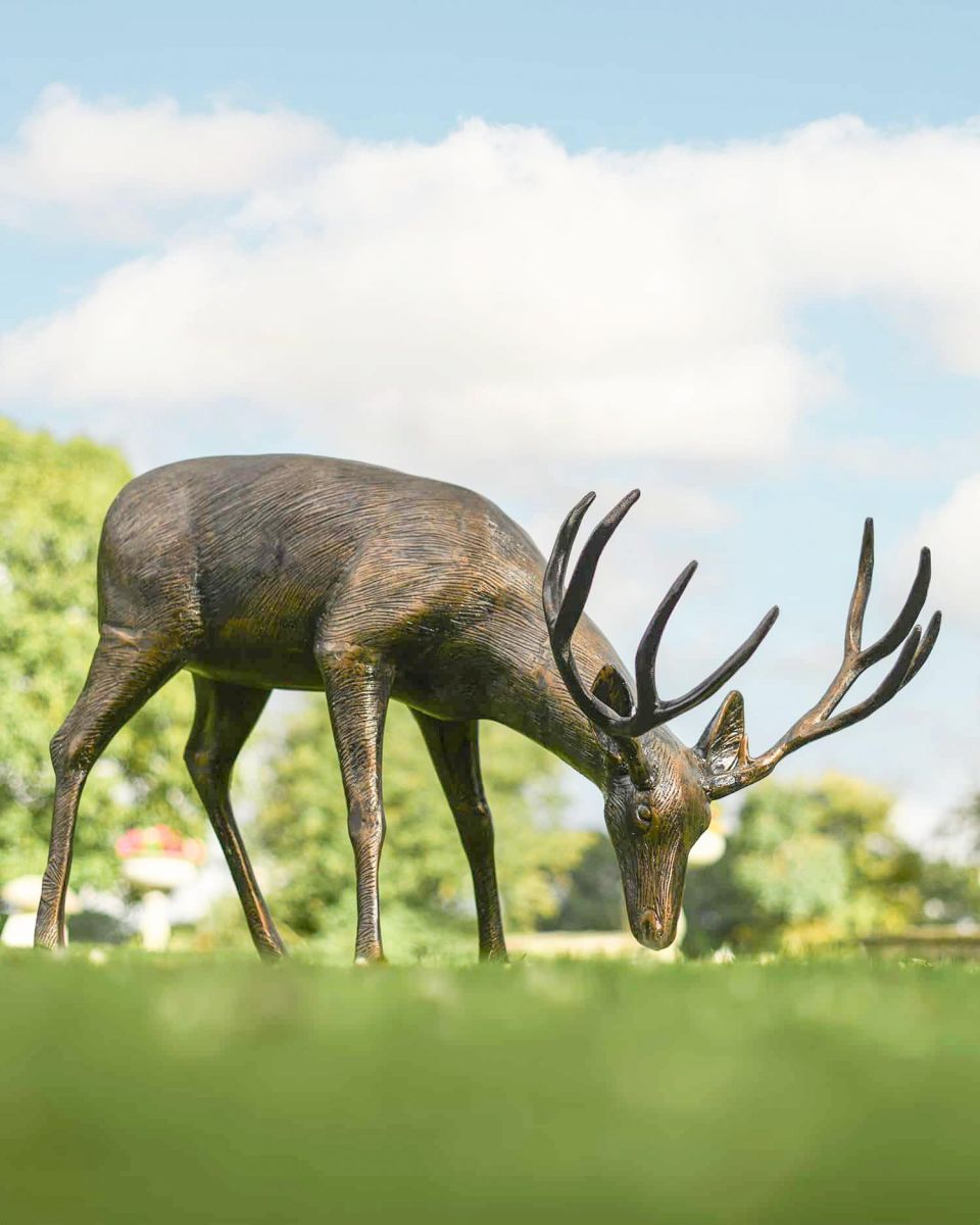 Antique Bronze "Roe" Life Size Grazing Buck Sculpture in Situ in a Field