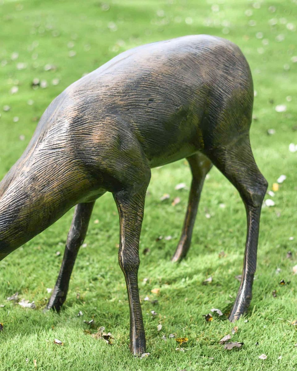 Grazing stag Side body view
