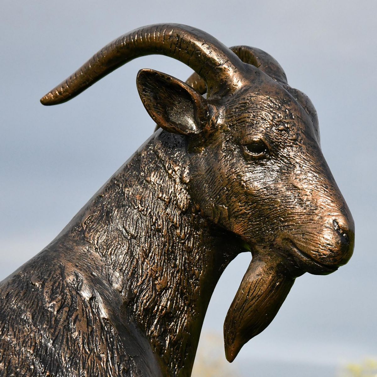 close-up of the Antique Bronze Finish on the Billy Goat Garden Sculpture