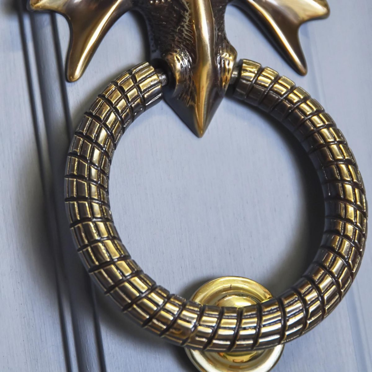 Close-Up of Circular Hooped Knocker