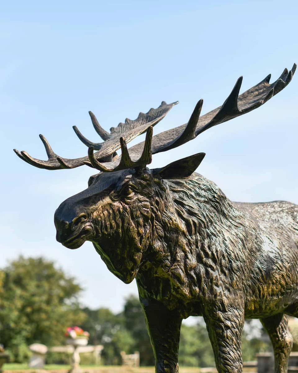 Close-Up of Antique Gold "Mickey Moose" Cast Aluminium Moose Garden Sculpture Close-Up of Antique Gold "Mickey Moose" Cast Aluminium Moose Garden Sculpture