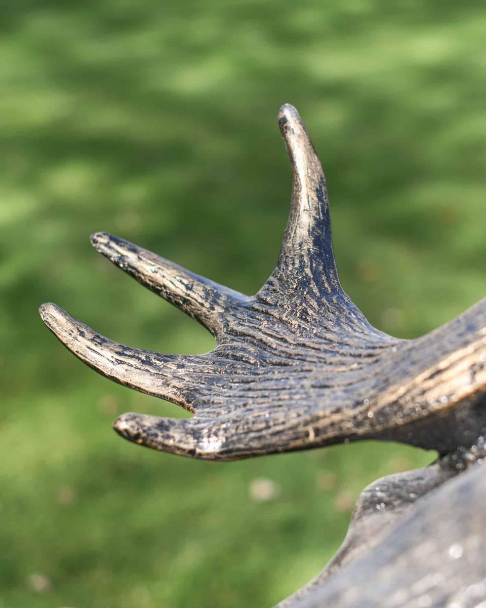 Close-Up of Antlers for Antique Gold "Mickey Moose" Cast Aluminium Moose Garden Sculpture Close-Up of Antlers for Antique Gold "Mickey Moose" Cast Aluminium Moose Garden Sculpture