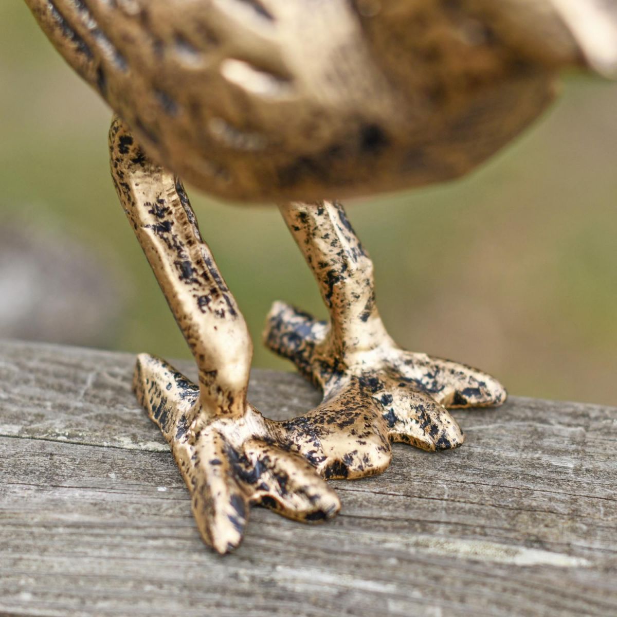 Close-Up of Integral Feet on Bird Sculpture