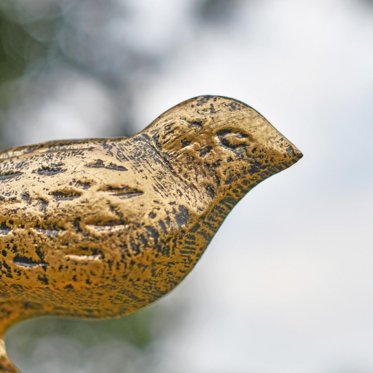 Close-Up of Bird"s Face on Garden Sculpture