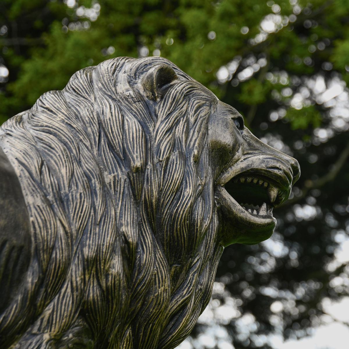 Close-up of the Detail on the Antique Gold Lion Sculpture