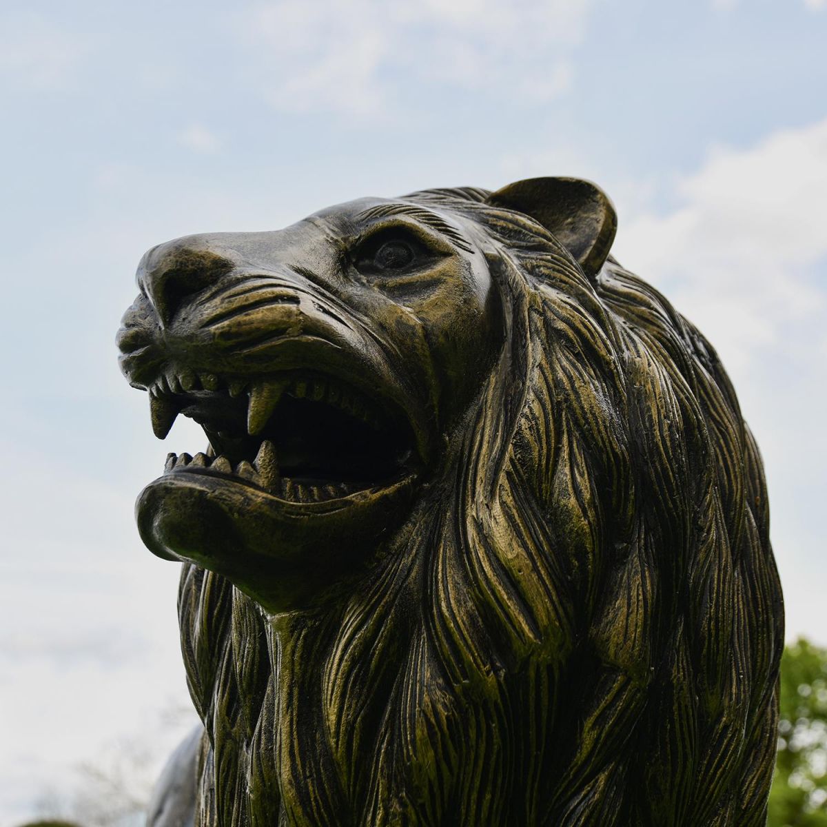 Side view of the Lion"s Head