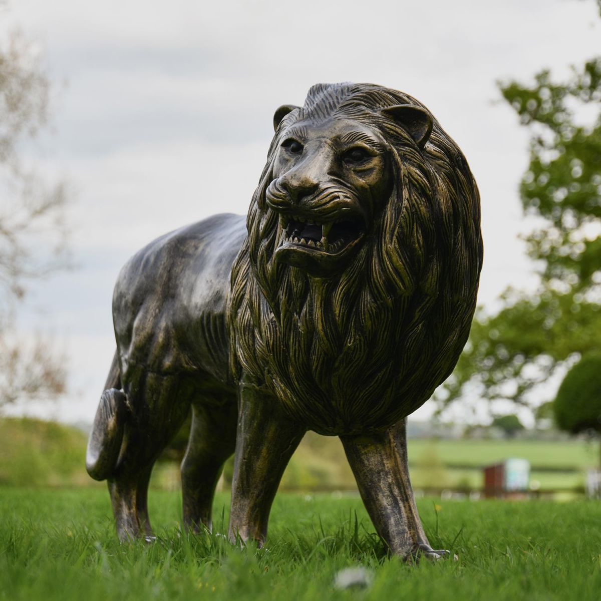 Lion Sculpture Finished in an Antique Gold Finish