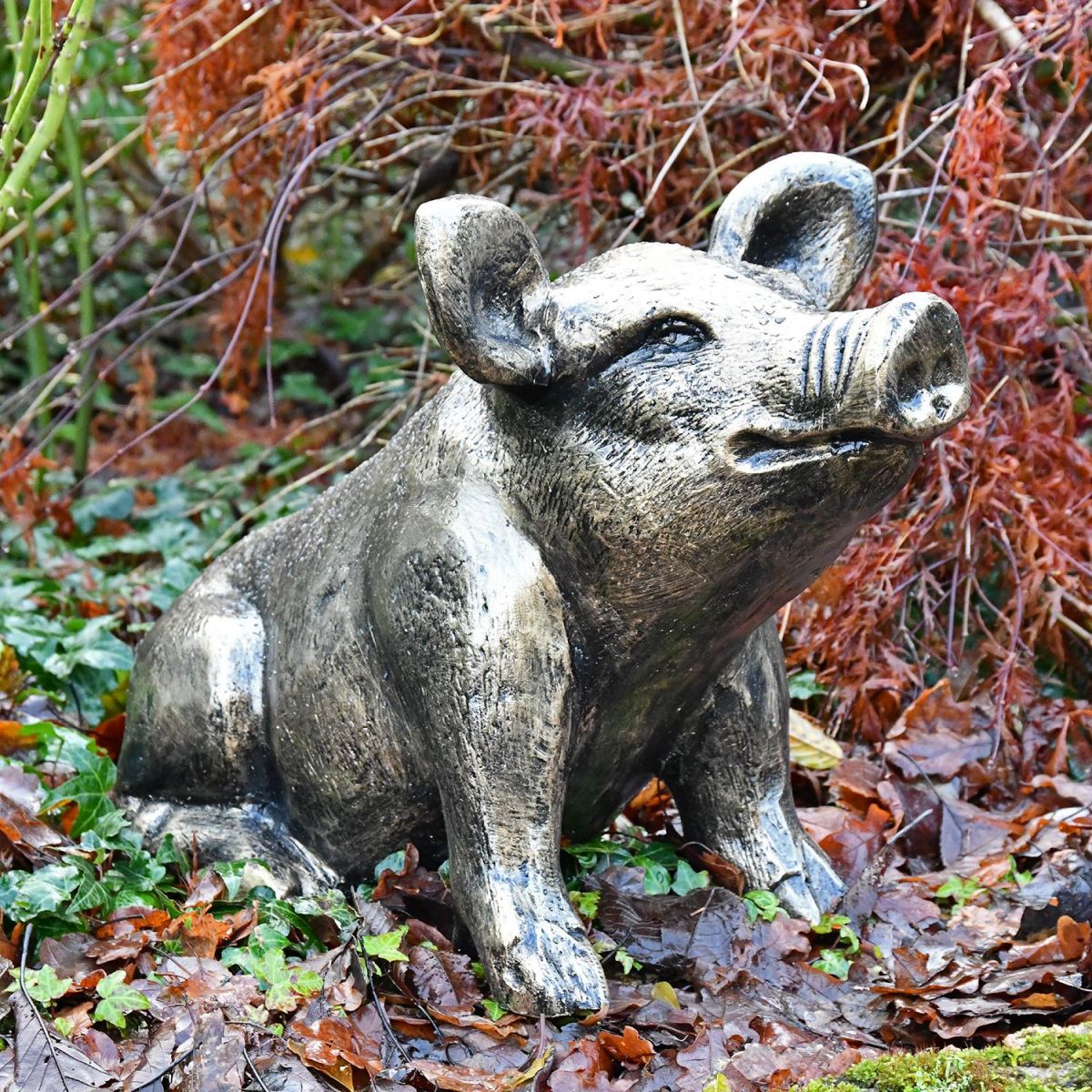 Antique Gold Sitting Pig Sculpture in Situ in the garden Antique Gold Sitting Pig Sculpture in Situ in the garden