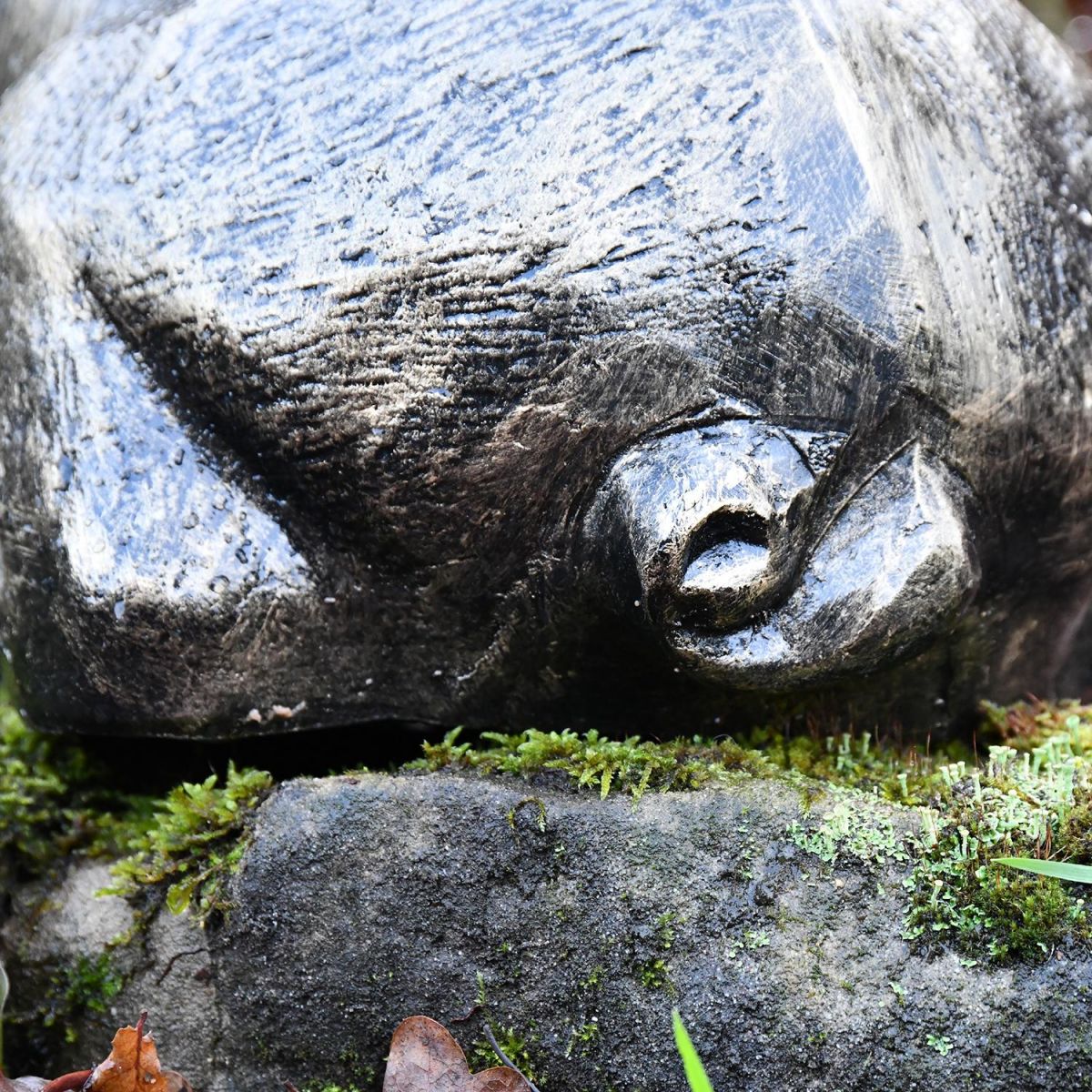 Close-up of the Detail on the Antique Gold Sitting Pig Sculpture Close-up of the Detail on the Antique Gold Sitting Pig Sculpture