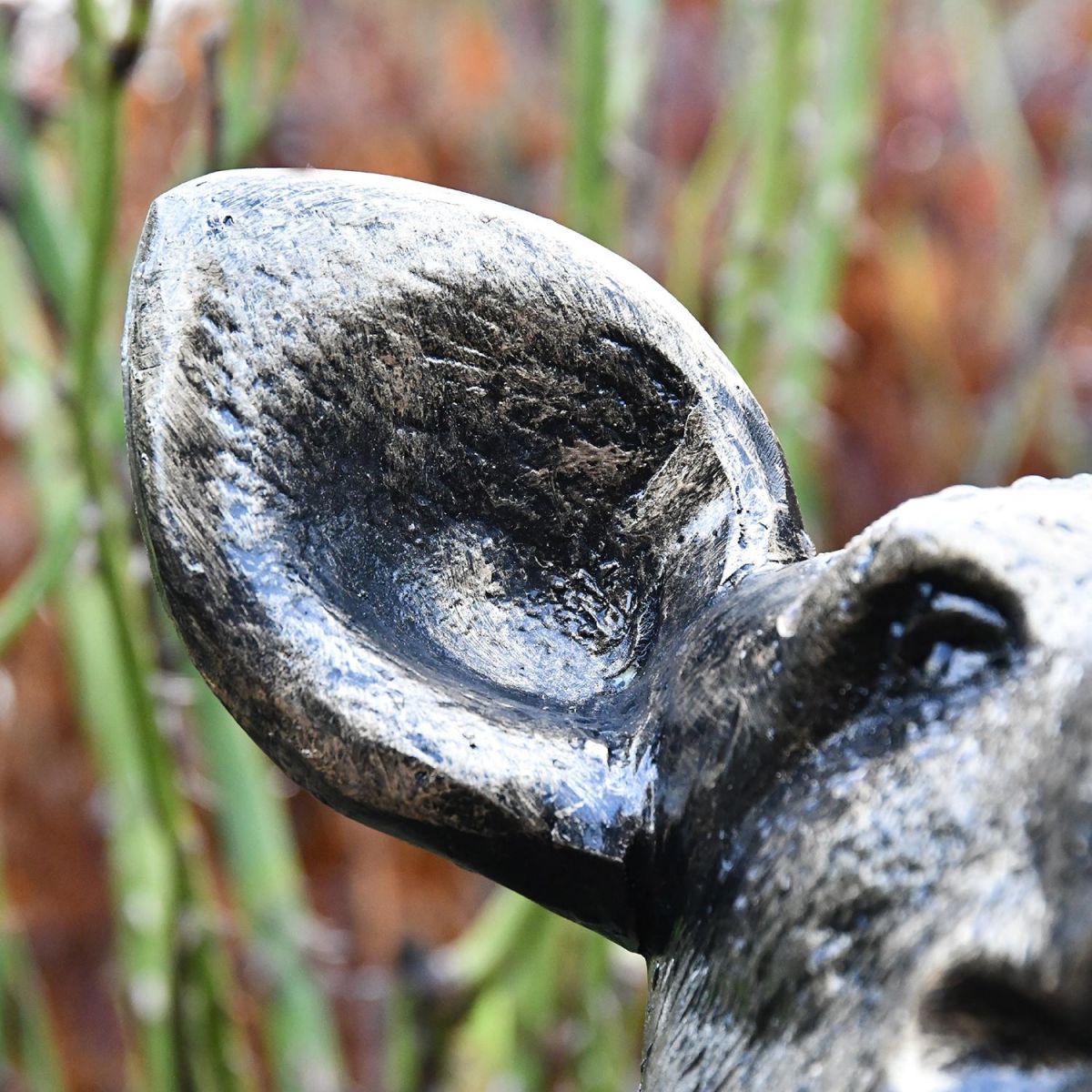 Ears on the Sitting Pig Sculpture Ears on the Sitting Pig Sculpture