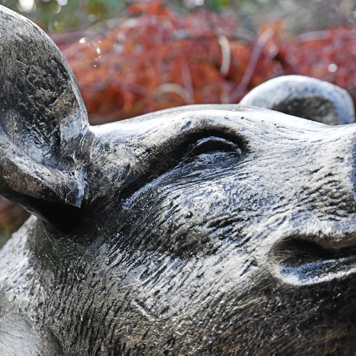 Close-up of the Antique Gold Finish on the Sitting Pig Sculpture Close-up of the Antique Gold Finish on the Sitting Pig Sculpture