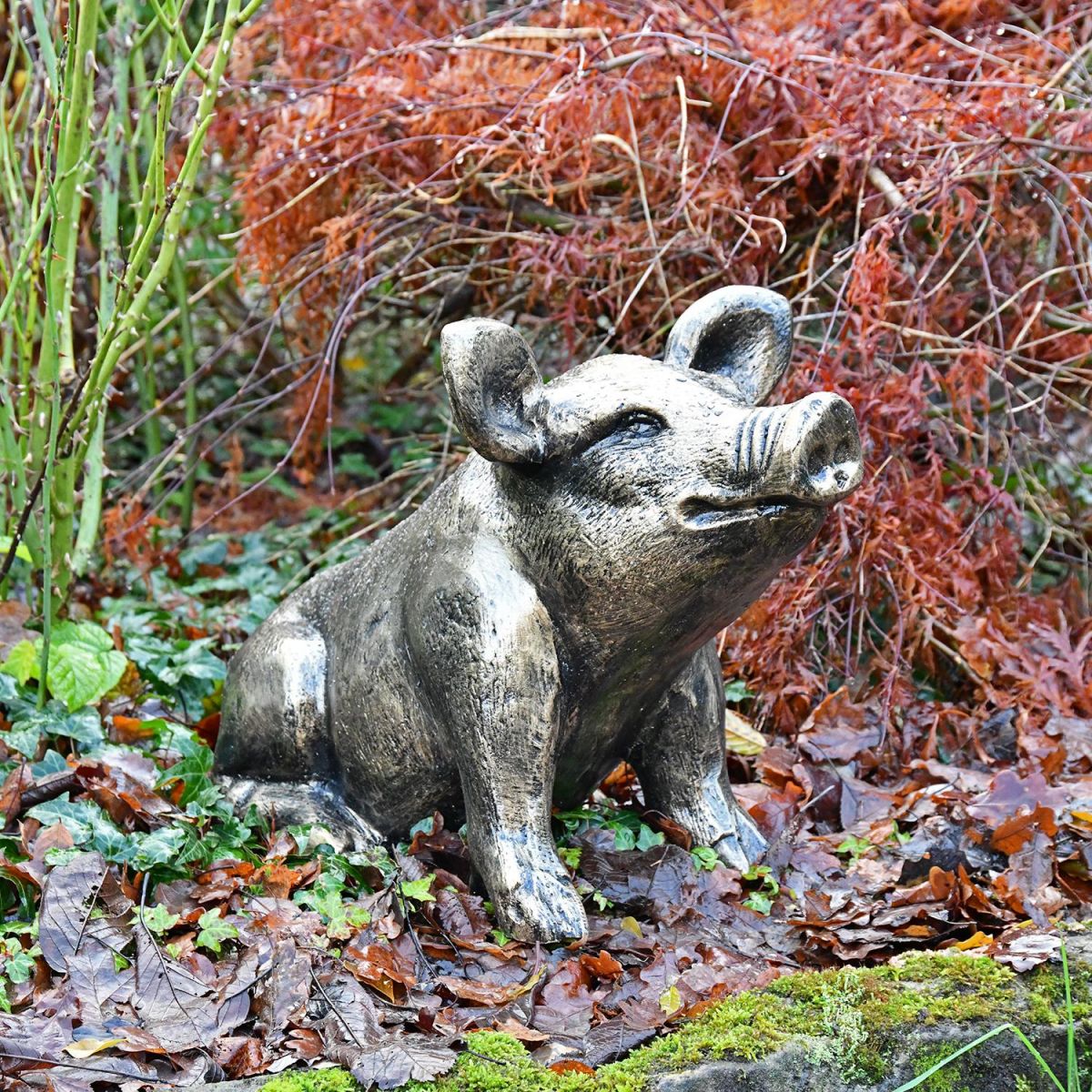 Antique Gold Sitting Pig Sculpture in Situ in a Garden Antique Gold Sitting Pig Sculpture in Situ in a Garden
