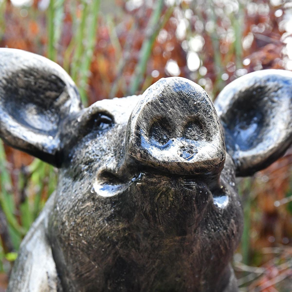 View of the Face of the Sitting Pig Sculpture View of the Face of the Sitting Pig Sculpture