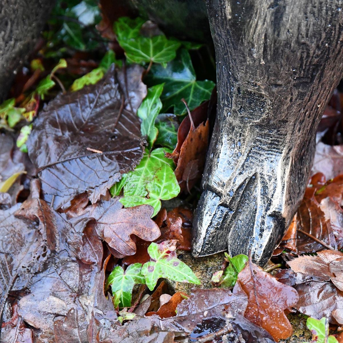 Close-up of the Feet of the Sitting Pig Sculpture Close-up of the Feet of the Sitting Pig Sculpture