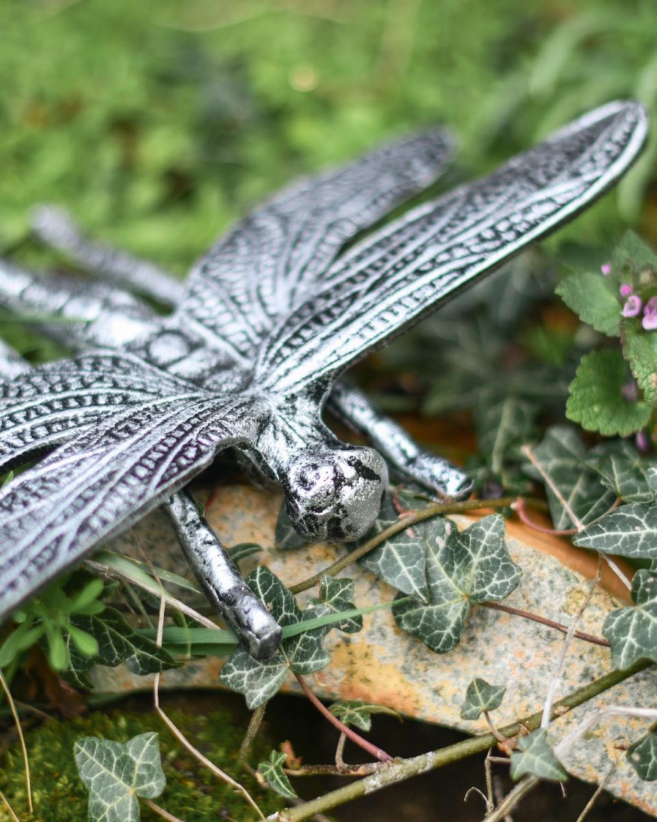 Close-Up of Antique Silver Prehistoric Dragonfly Garden Sculpture Close-Up of Antique Silver Prehistoric Dragonfly Garden Sculpture