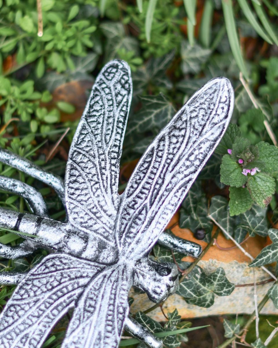 Close-Up of Antique Silver Finish on Prehistoric Dragonfly Garden Sculpture Close-Up of Antique Silver Finish on Prehistoric Dragonfly Garden Sculpture