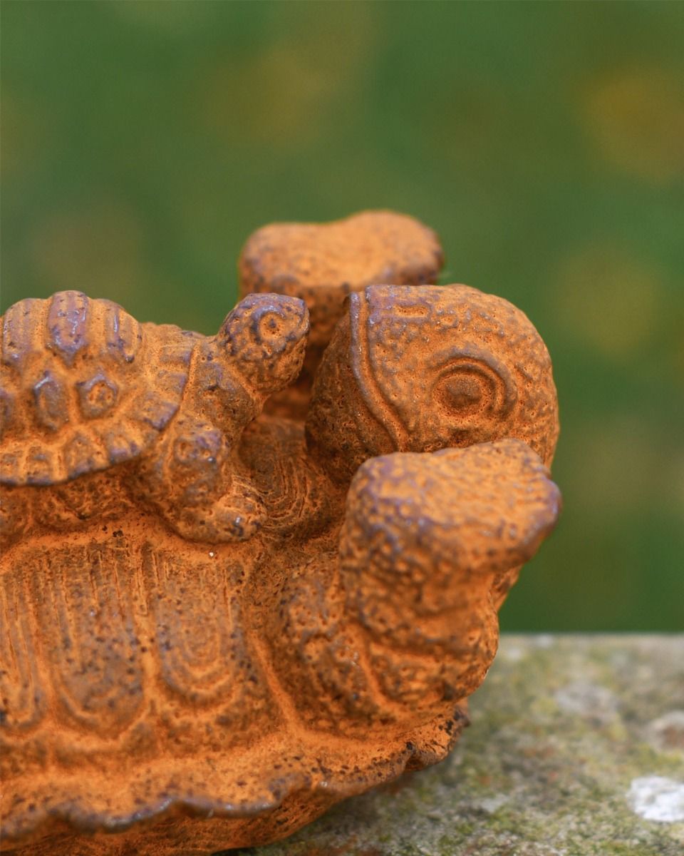 Close Up Of Rustic Cast Iron Tortoise 