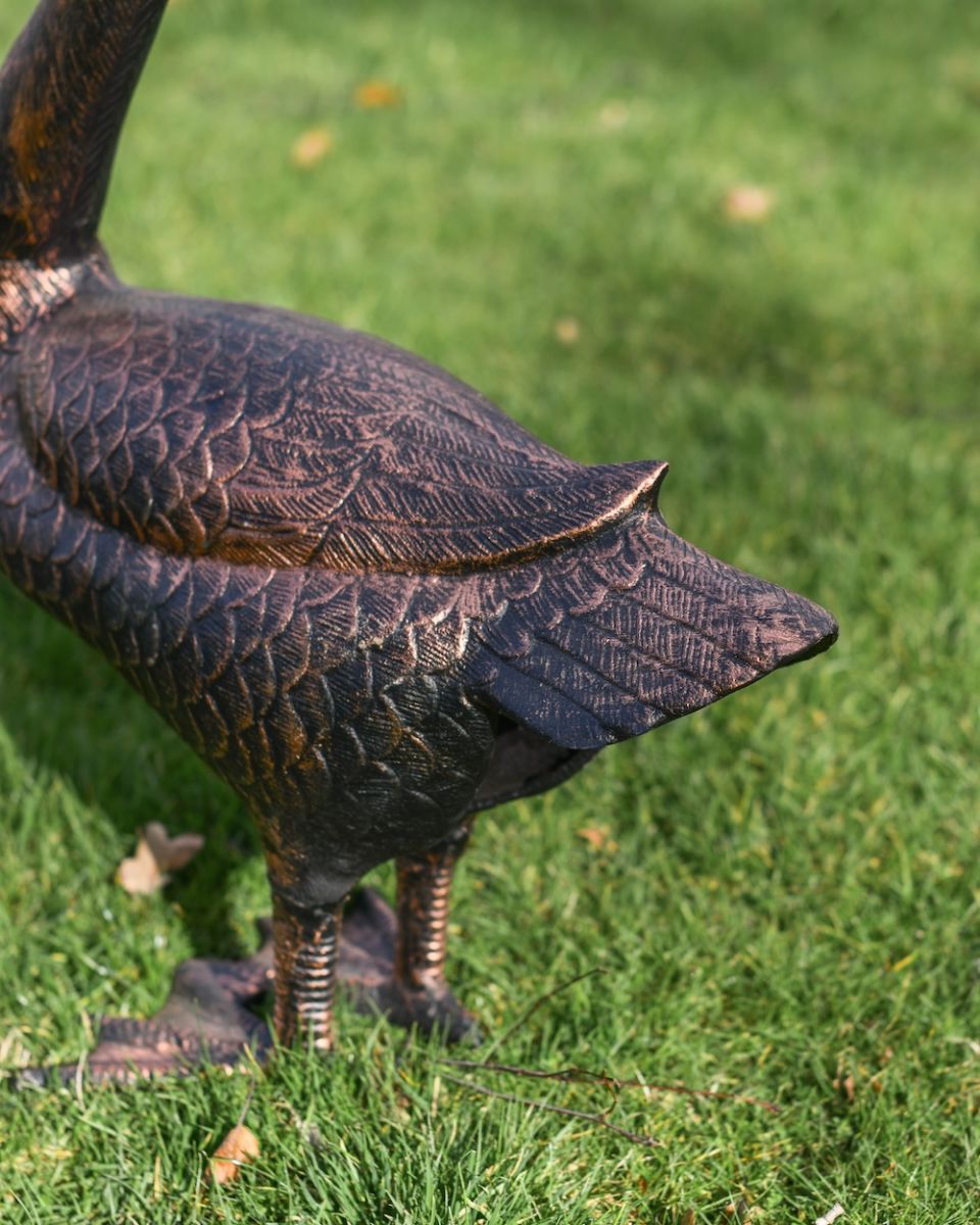 detailed close up of back of swan sculpture