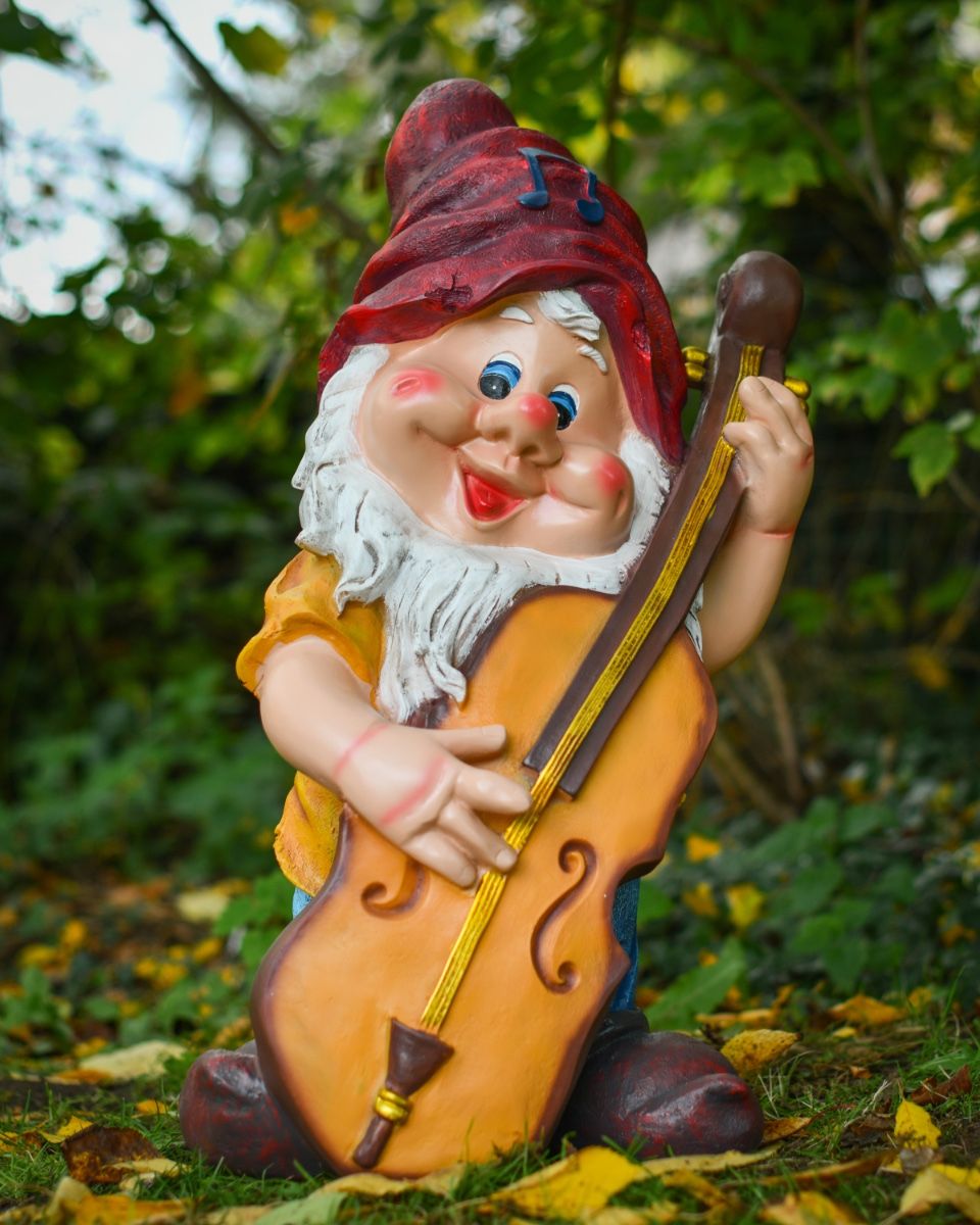 Bass playing gnome in situ