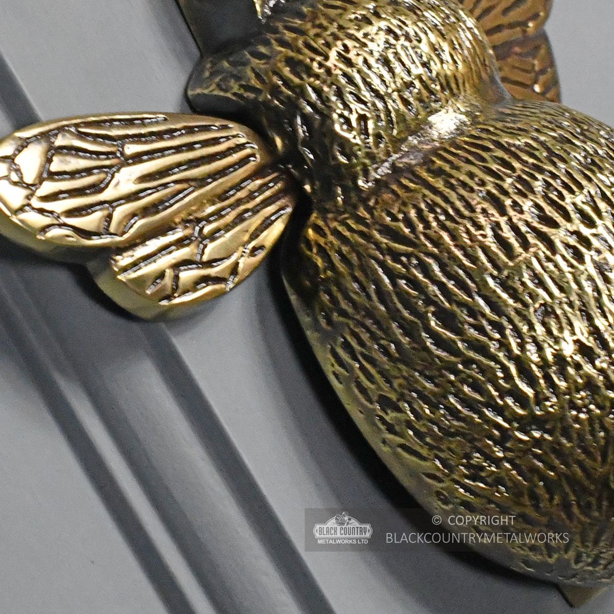 Detailed image of wing of bee door knocker
