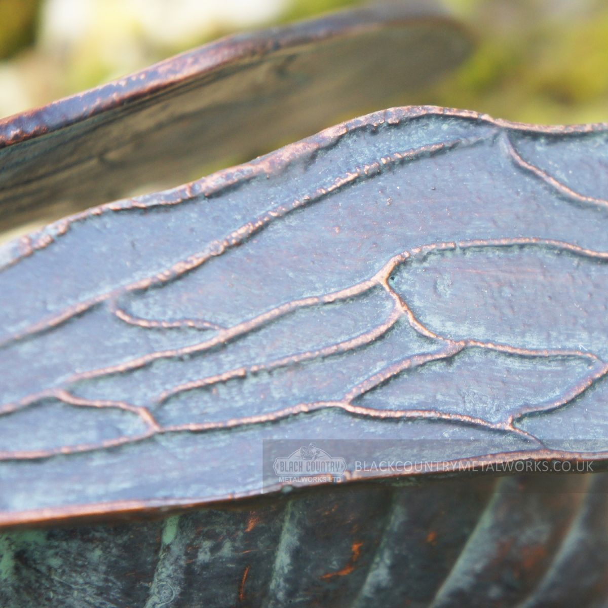 Detailed image of bee wing