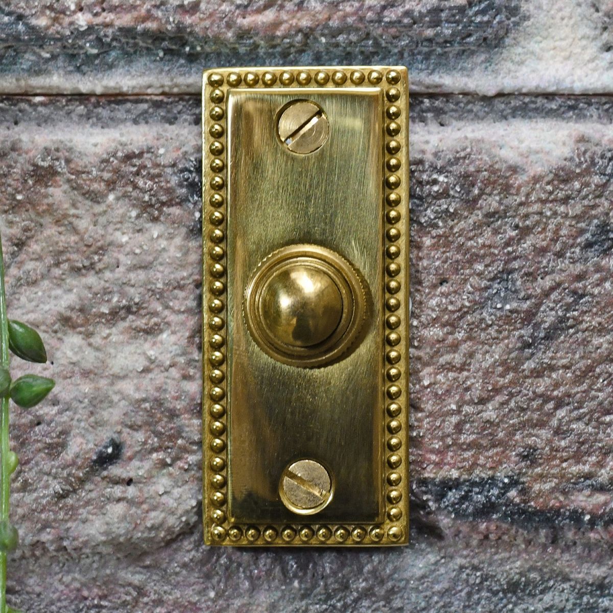 Polished Brass Georgian Bell Push