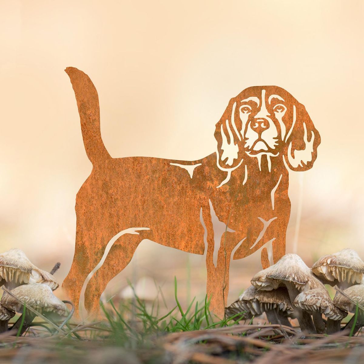 Beagle Silhouette in Situ