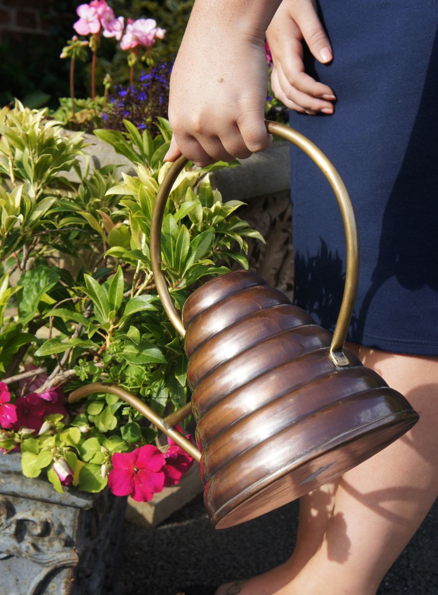 Copper watering can Hunny pot design Copper watering can Hunny pot design