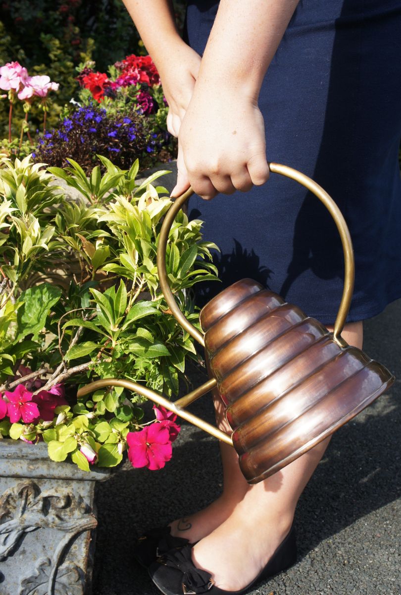 Copper watering can Hunny pot design Copper watering can Hunny pot design