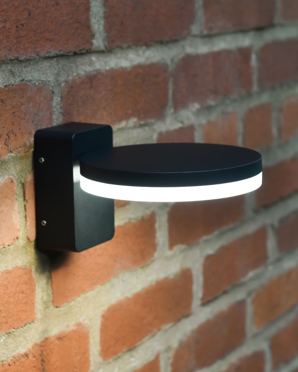 Belgrave Garden wall Down Light high angle light on