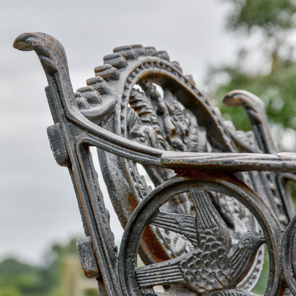Close up of Aged Black "Dog" Single Seater Bench Close up of Aged Black "Dog" Single Seater Bench