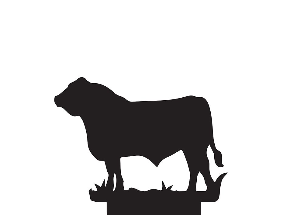 Lincolnshire Bull Topper 