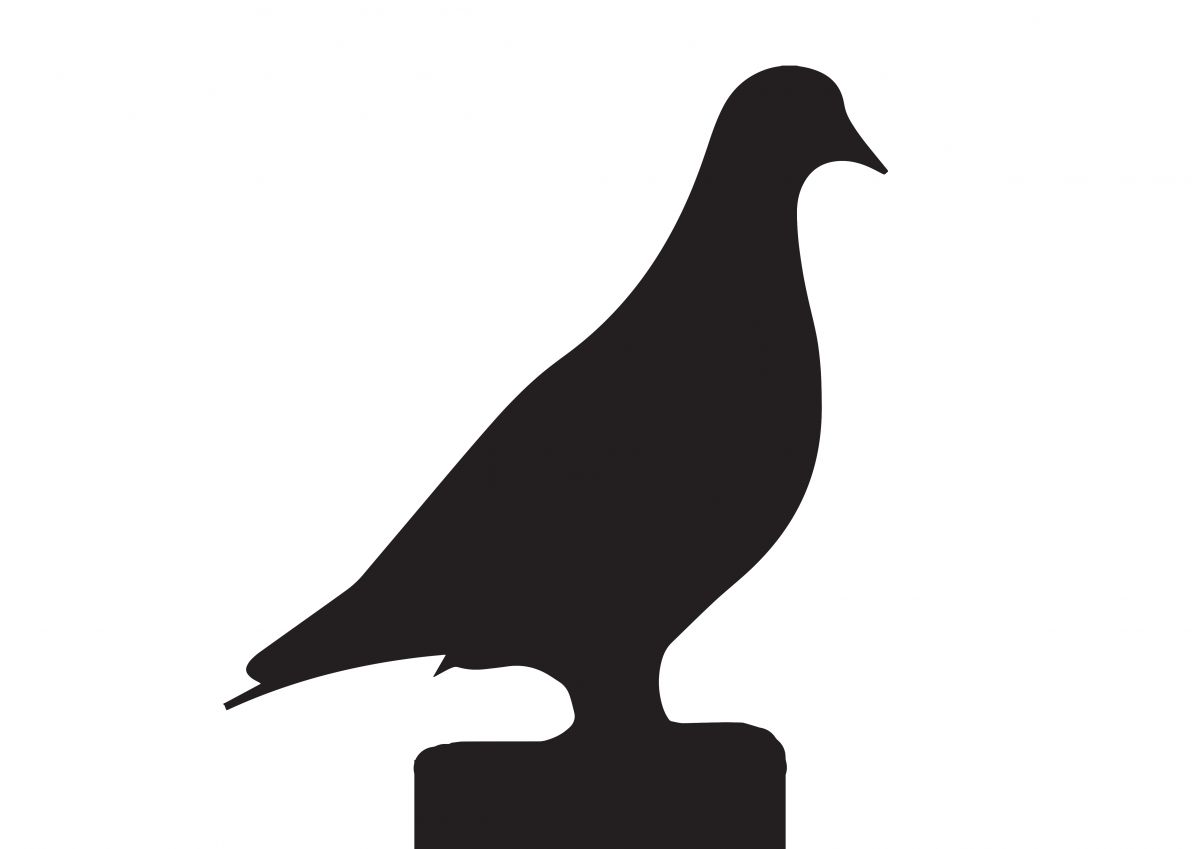 Pigeon Motif  Pigeon Motif