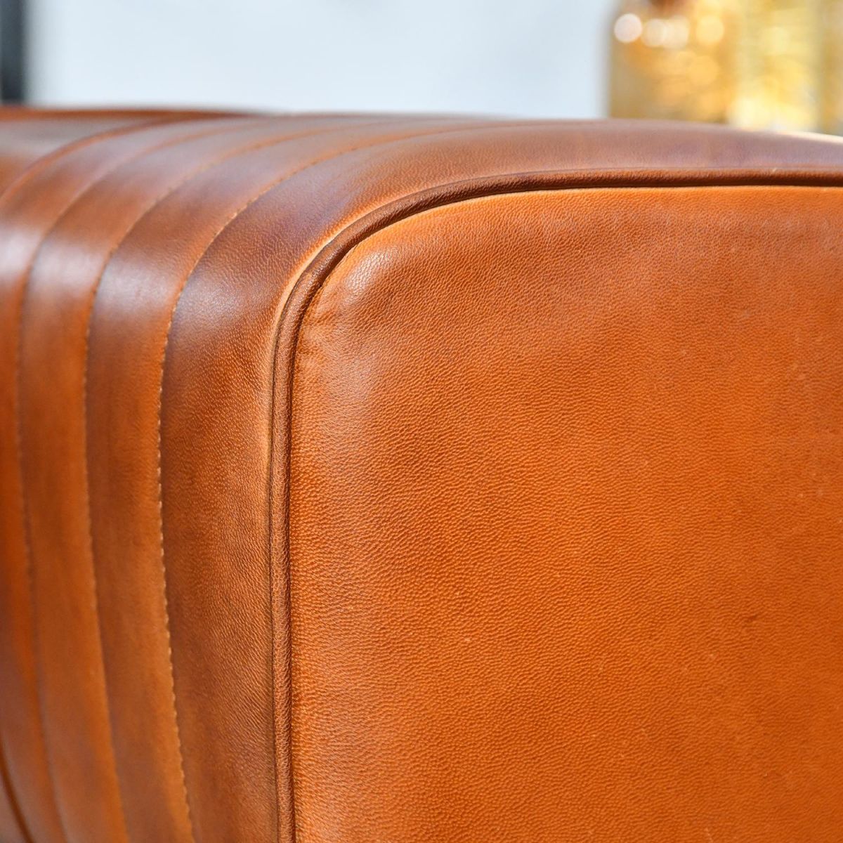 Close up of Tan Leather 