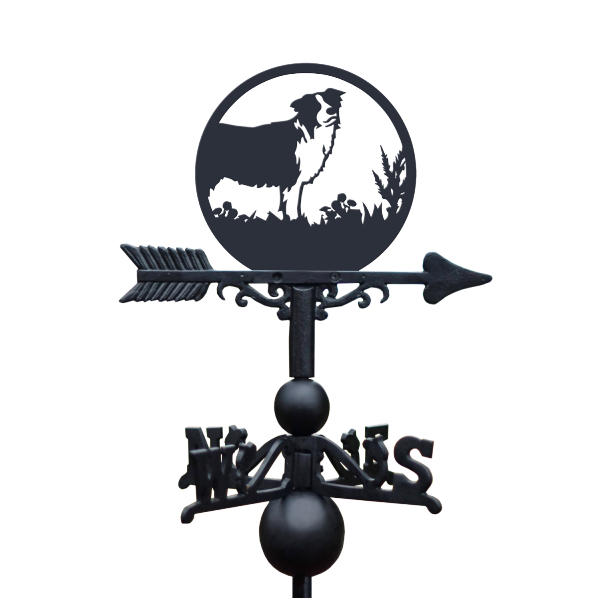 Border Collie Weathervane on White Background