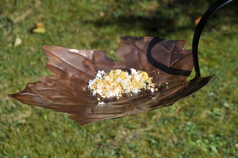 Forever Autumn Leaf Design Bird Bath & Feeder