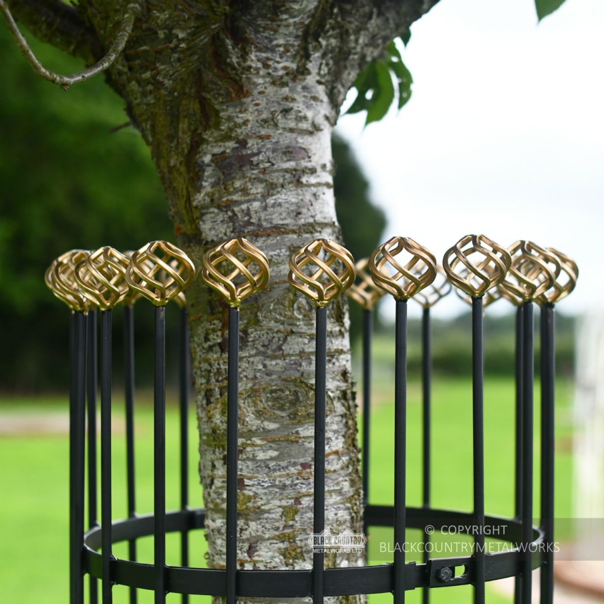 Black and Gold Heavy Duty Iron Tree Guard By Tree