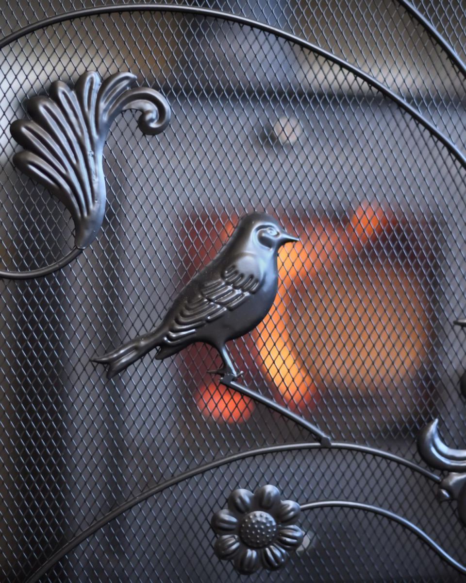 Close-Up of Bird Motifs