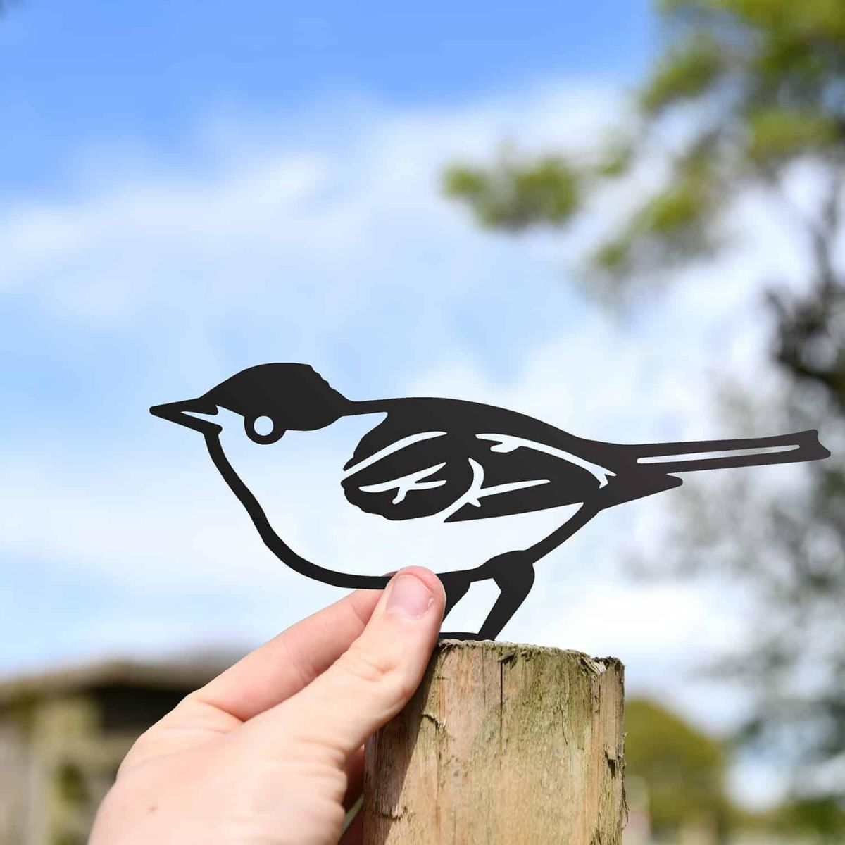 Scale Shot of Black Blackcap Warbler Steel Fence Topper