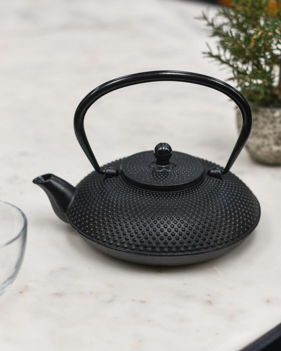 Black Cast Iron "Ushirode Kyusu" Japanese Style Teapot in Situ