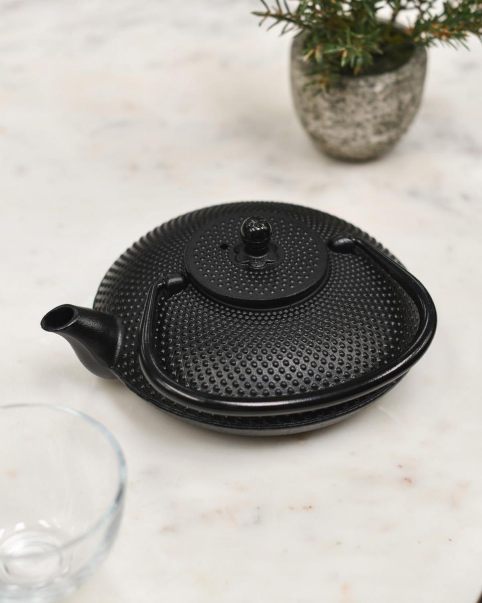 Black Cast Iron "Ushirode Kyusu" Japanese Style Teapot with Handle Down