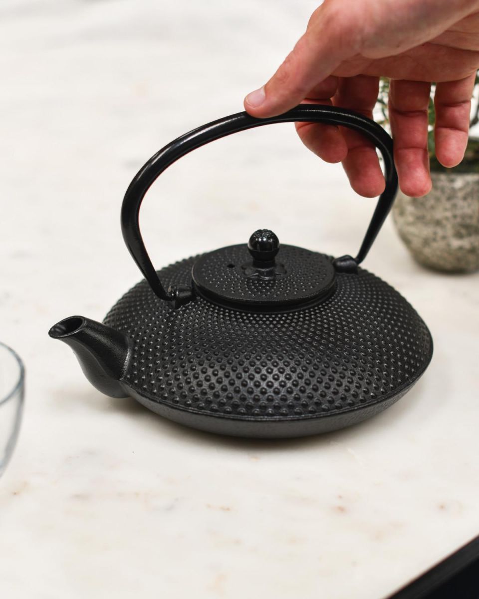Scale Shot of Black Cast Iron "Ushirode Kyusu" Japanese Style Teapot
