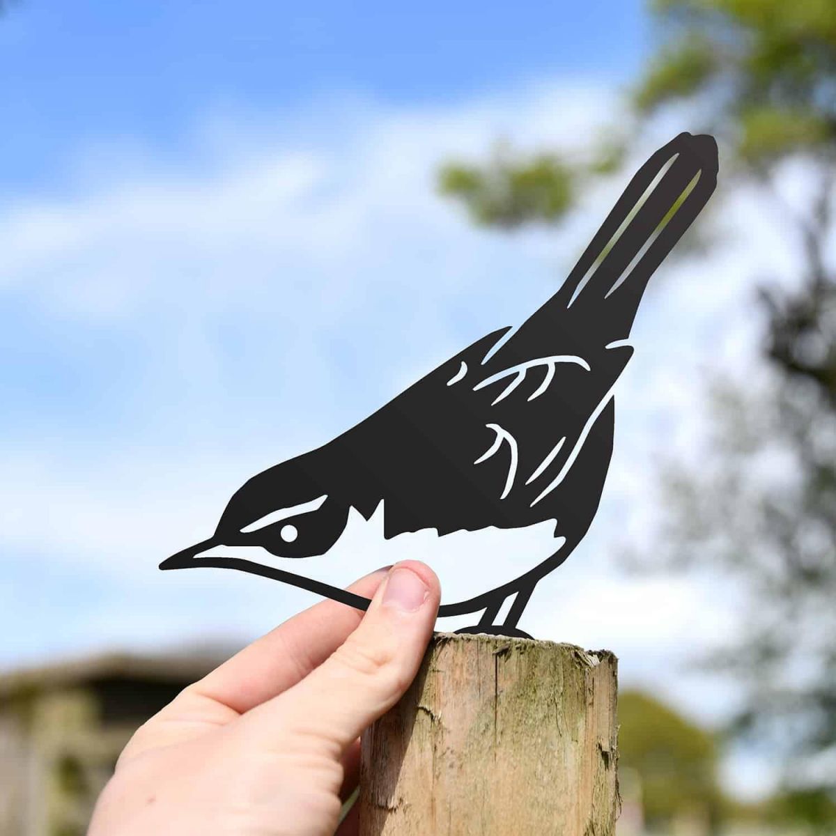 Scale Shot of Black Cetti"s Warbler Steel Fence Topper